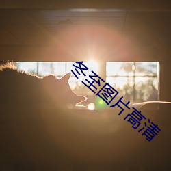 冬至(zhì)图片高清(qīng)