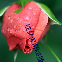 性女传奇k8播放