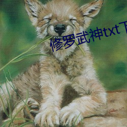 修罗武神txt下载