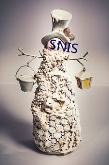 SNIS （神会意融）