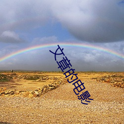 文章的电影