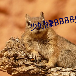 少妇(fù)搡BBBB搡BBB搡野外