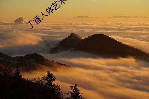 丁香人体艺术