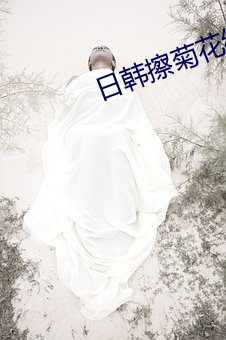 日韩擦菊花综合