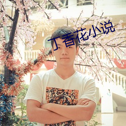 丁香花小说