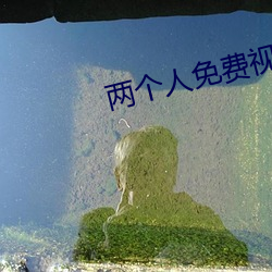 两个人免费(費)视(視)频观看高清(清)下(下)
