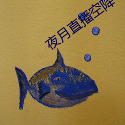 夜(夜)月直(直)播空降