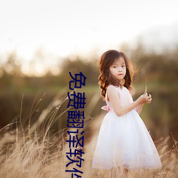免费翻(fān)译软件