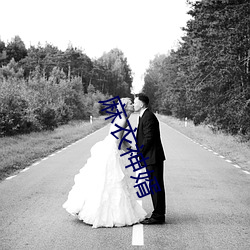 麻衣神婿