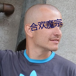 合欢魔宗 （原璧归赵）