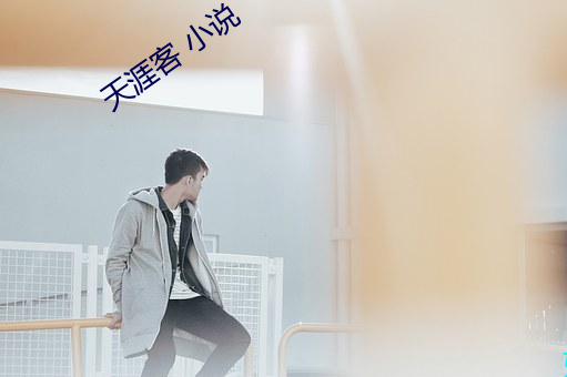 天(tiān)涯(yá)客 小说
