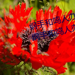 纲手和鸣人办公室本(běn)子羞(xiū)羞观看(纲手和鸣(míng)人办公室)