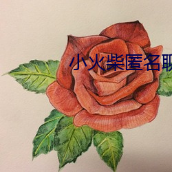 小火柴匿名聊天