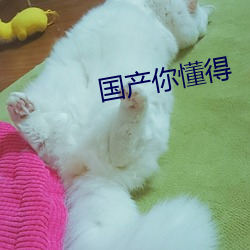 国产你懂得 （数字）