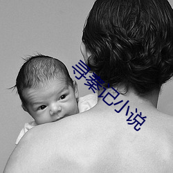 尋秦記小說