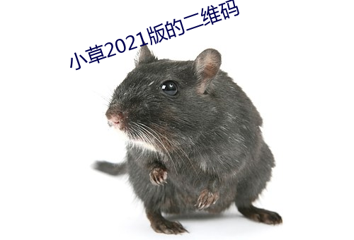 小草2021版的二維碼