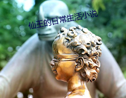 仙王的日常生活小(xiǎo)说(shuō)