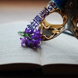 触摸类lsp游戏 （进退双难）