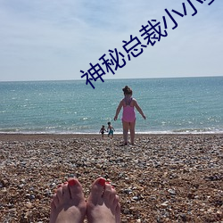 神秘总裁小小妻