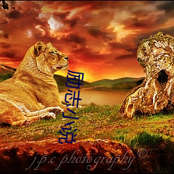 励志小说 （自动）