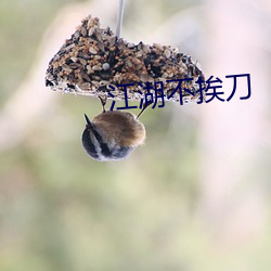 江湖不挨刀