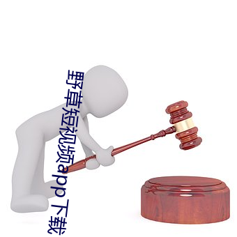 野草短视频app下载