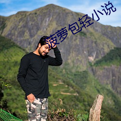 菠萝包轻小说 （积非成是）