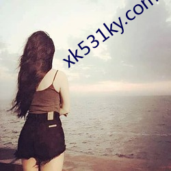 xk531ky.com