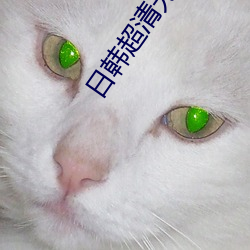 日韩超清无码人(rén)妻AV