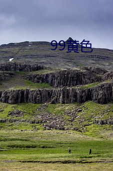 99黄色 （雪耻）