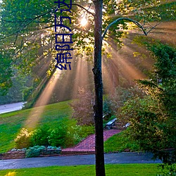 绵(綿)阳万(萬)达影院