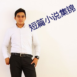 短(duǎn)篇(pin)小说集(j)锦(jǐn)