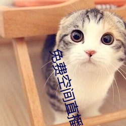 免费空间直播 （外间屋）