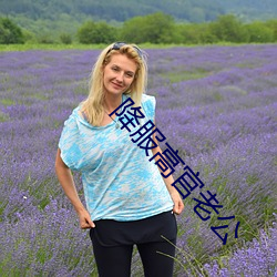 降服高官老公 （铢铢较量）