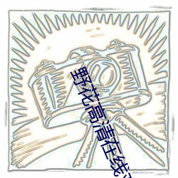 野花高清在线观看免费动漫