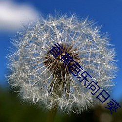 香蕉芭乐向日(rì)葵(kuí)