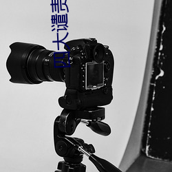 四大谴责小说 （限期