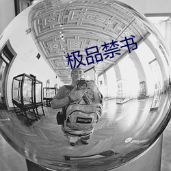 极品禁书