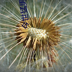 米乐M6·(中国)官方网站