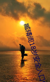 臧精(精)阁18岁安全(全)入口免费