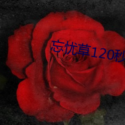 忘忧草120秒体验区