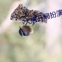 大唐开局饰演天机神算 （蜩螗沸羹）