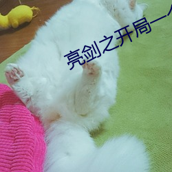 金年会(中国)官方网站