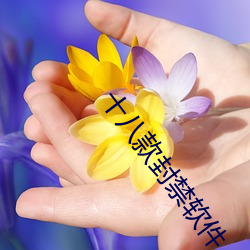 十八款封(封)禁(禁)软件(件)