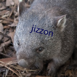 jizzon （束手就殪）