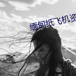 缅甸纸飞机资源群