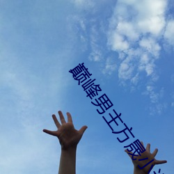巅峰男主方晟小说 （爬山虎）