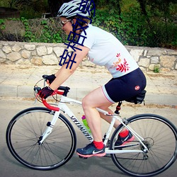 宰相刘罗锅全集完整版免费