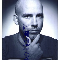 过度接触 小说