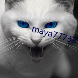 maya77733